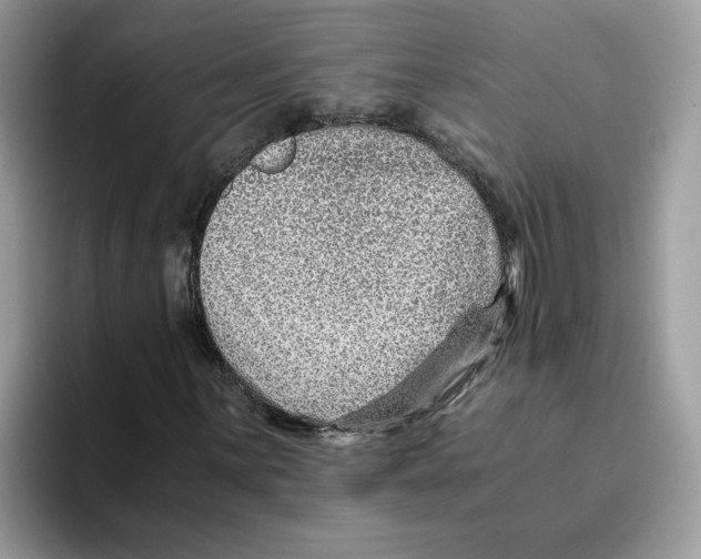 X0000093511059200711091717