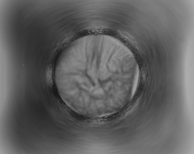 X0000093511060200711091717