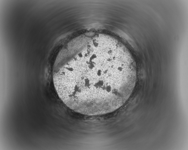 X0000093511063200711091717