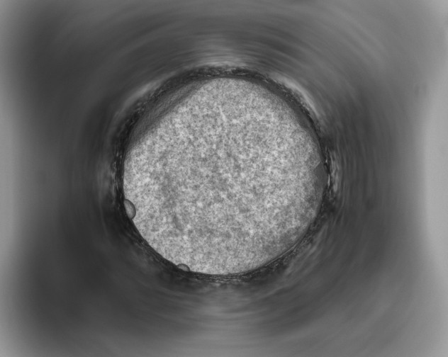 X0000093511064200711091717