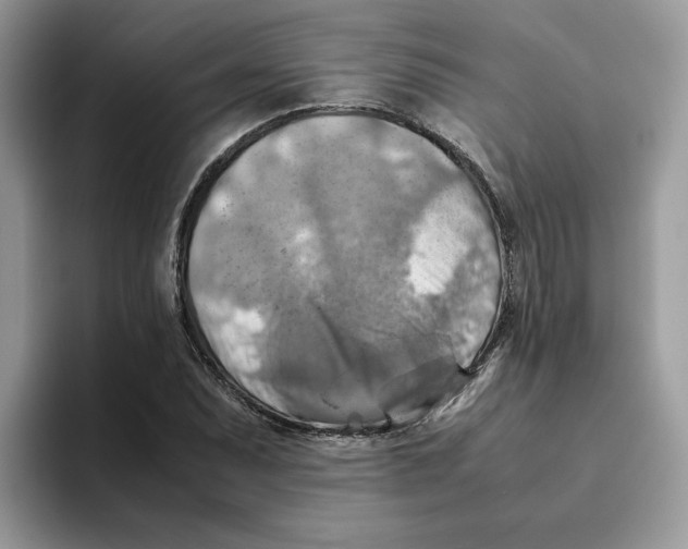 X0000093511071200711091717