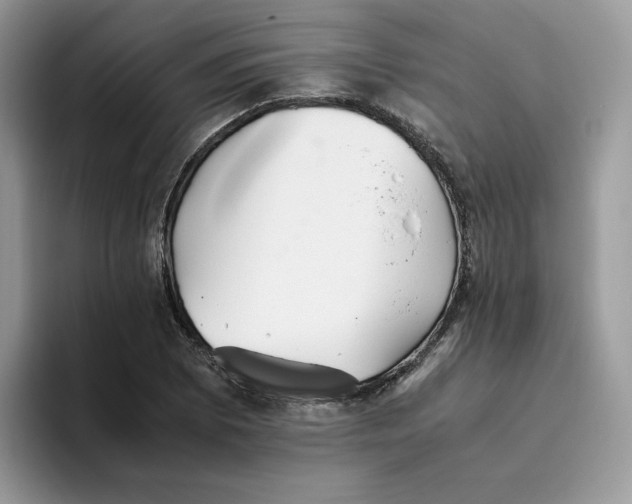 X0000093511073200711091717