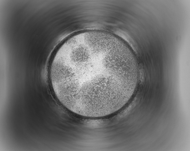 X0000093511074200711091717