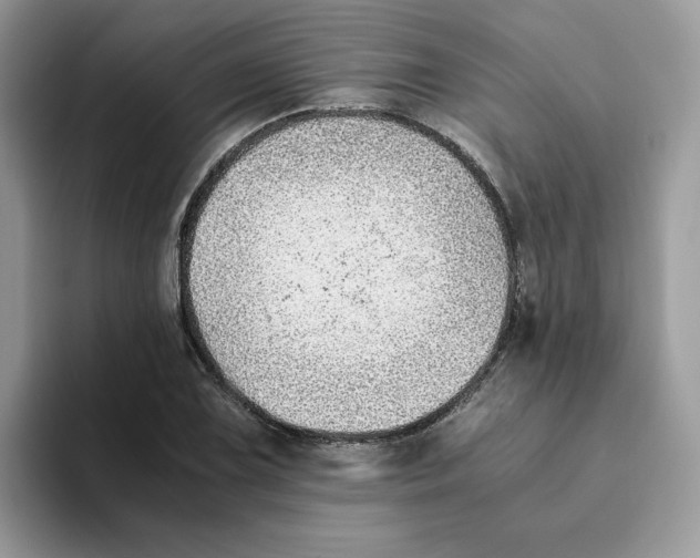 X0000093511075200711091717