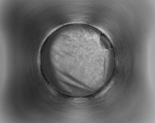 X0000093511077200711091717