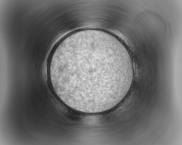 X0000093511078200711091717