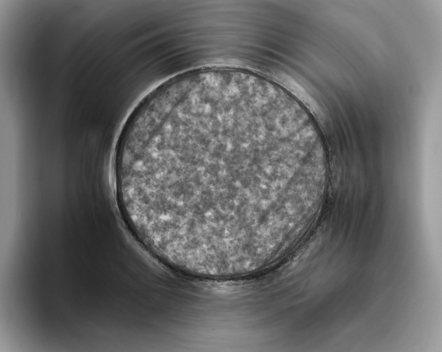 X0000093511084200711091717