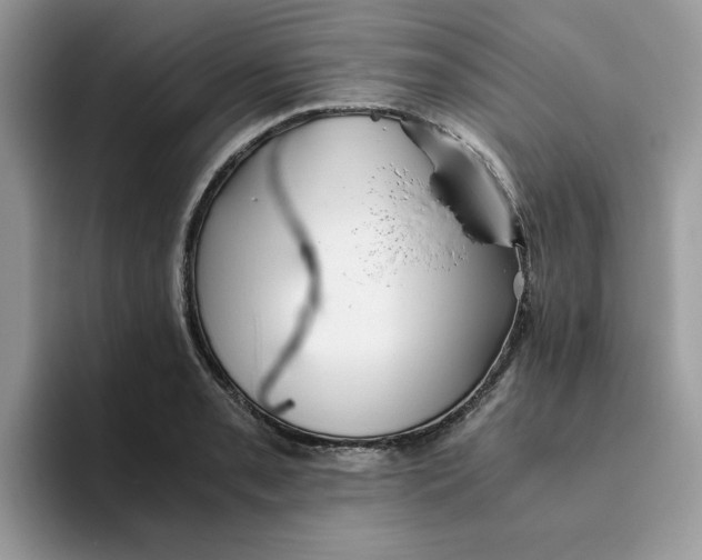 X0000093511085200711091717