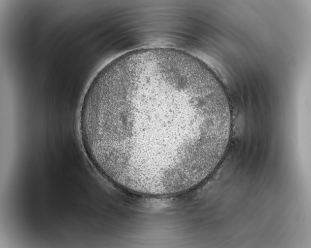 X0000093511086200711091717