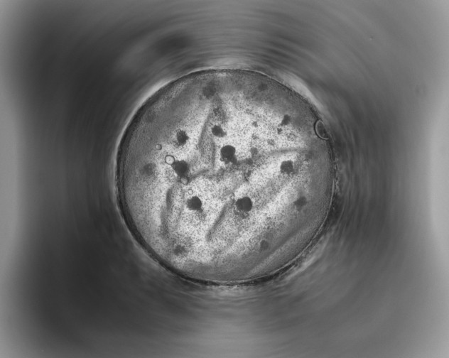 X0000093511087200711091717