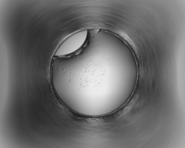 X0000093511089200711091717