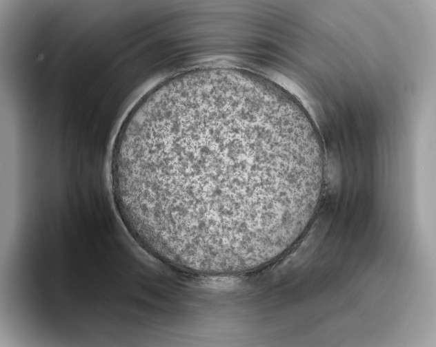 X0000093511090200711091717