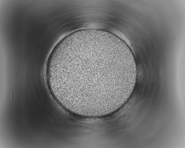 X0000093511091200711091717