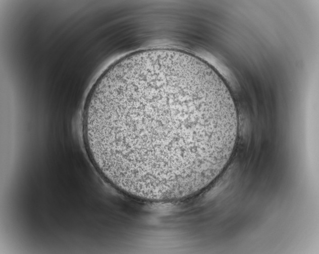 X0000093511094200711091716