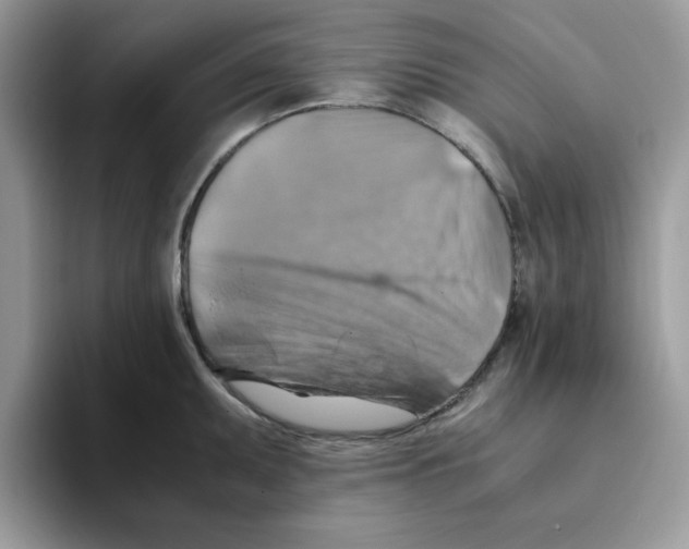 X0000093511095200711091716