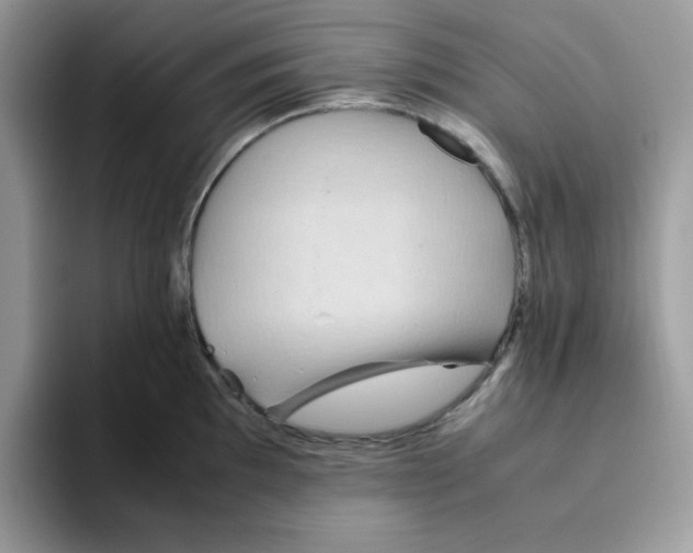 X0000093511097200711091716