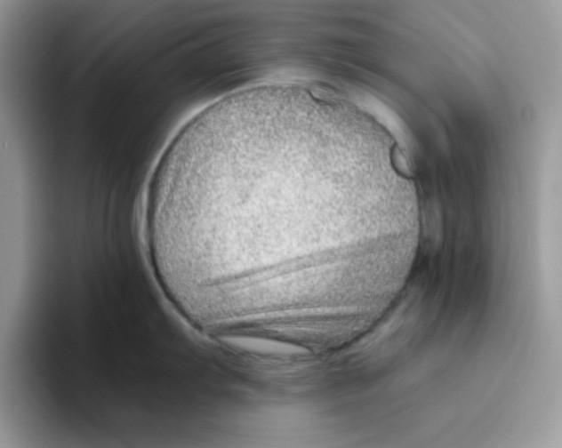 X0000093511103200711091716