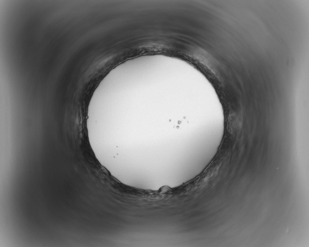 X0000093511111200711091716