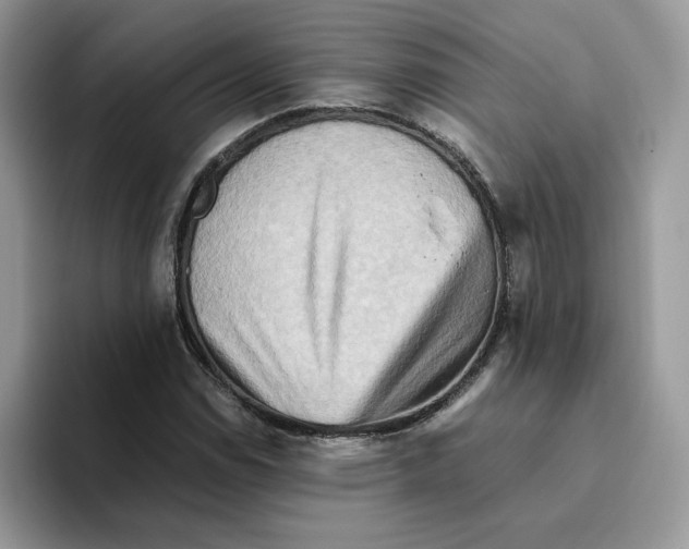 X0000093511114200711091716