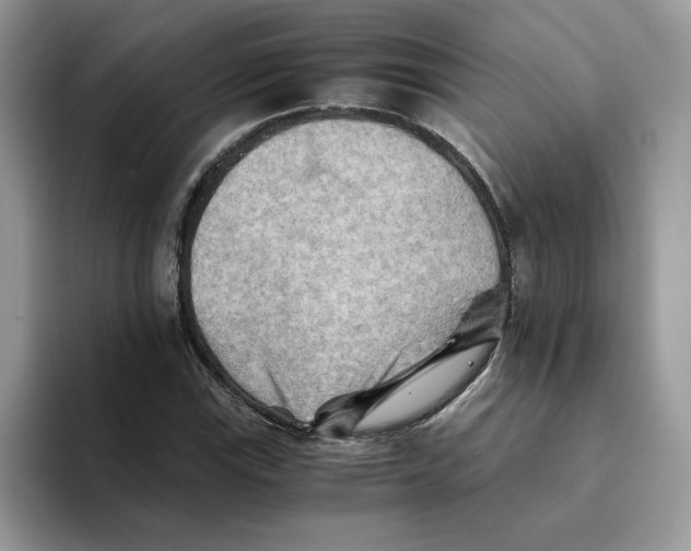 X0000093511115200711091716