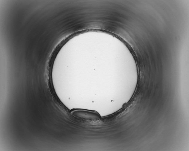 X0000093511119200711091716