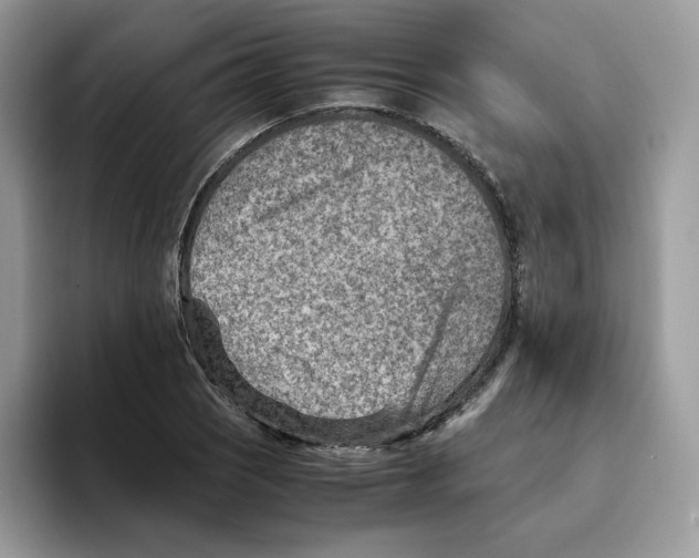 X0000093511121200711091716