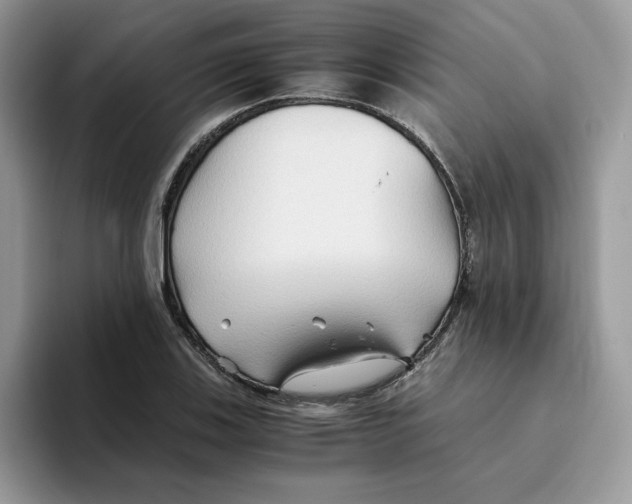 X0000093511123200711091716