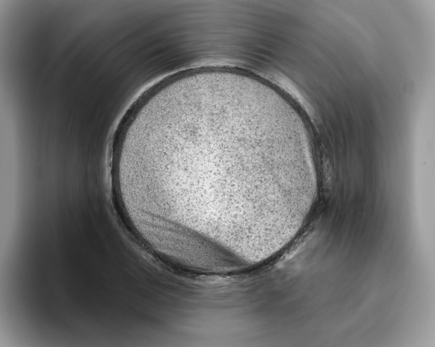 X0000093511124200711091716