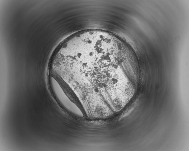 X0000093511125200711091716