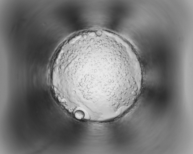 X0000093511126200711091716