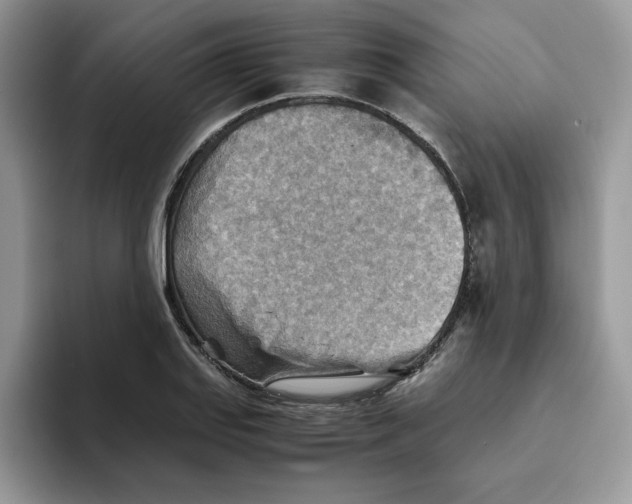 X0000093511127200711091716