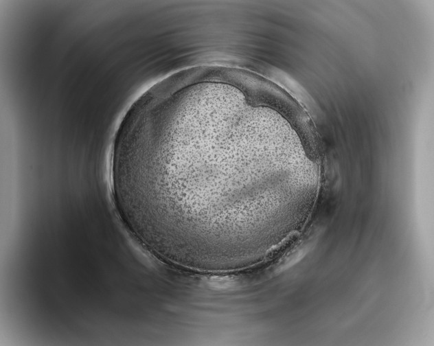 X0000093511128200711091716