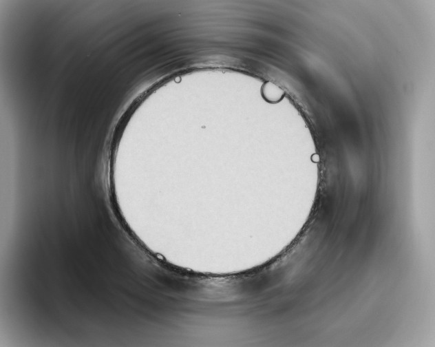 X0000093511130200711091716