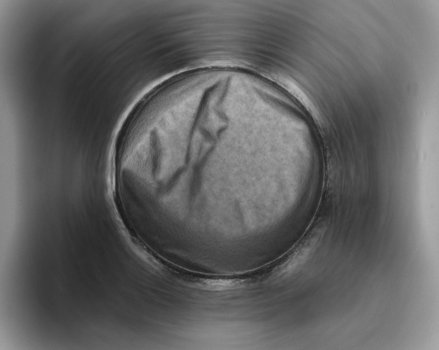 X0000093511132200711091716