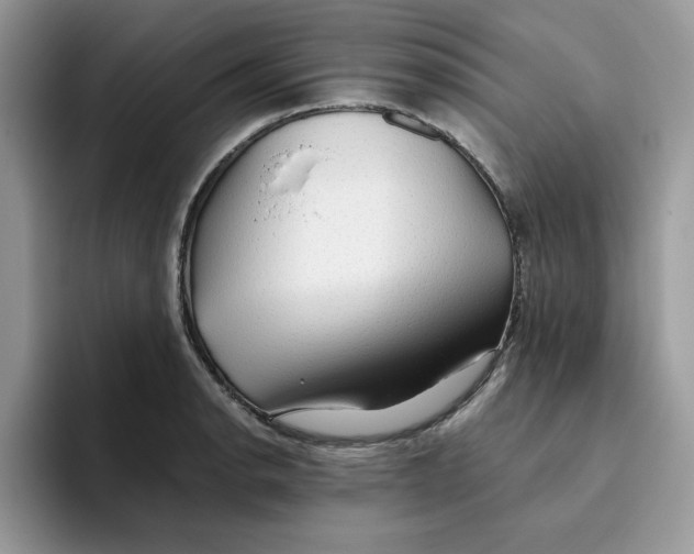 X0000093511134200711091716