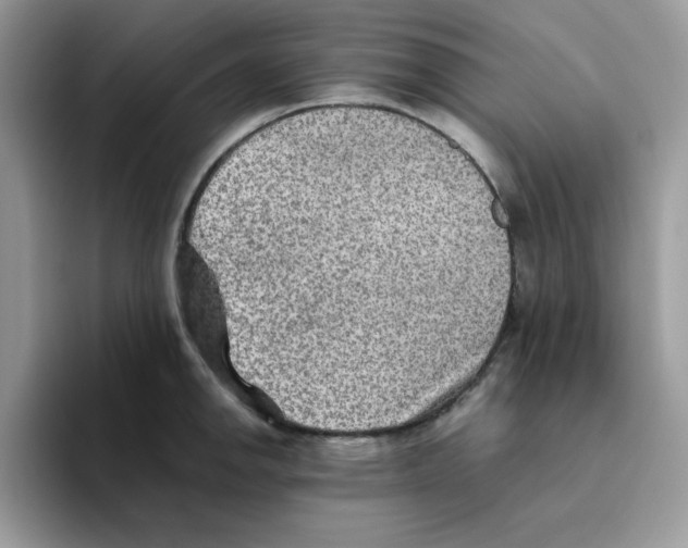 X0000093511142200711091716