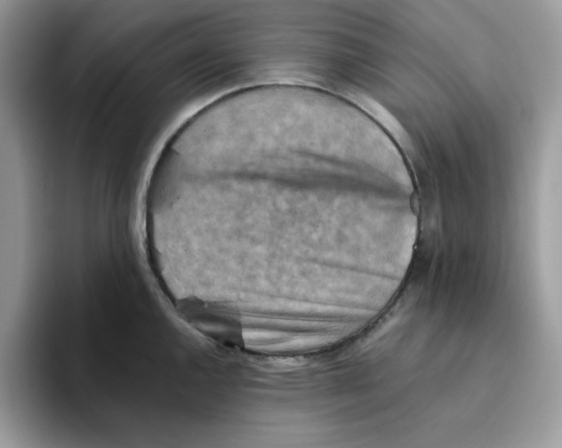 X0000093511144200711091716