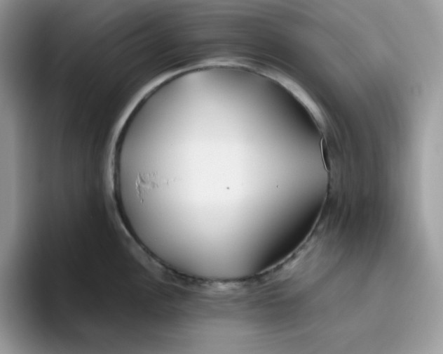 X0000093511148200711091716