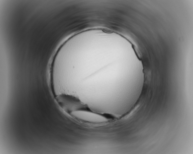 X0000093511151200711091716