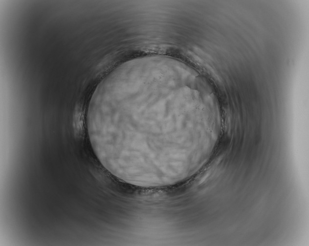 X0000093511154200711091716