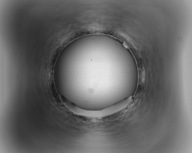 X0000093511157200711091716