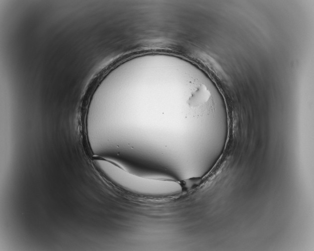 X0000093511164200711091716