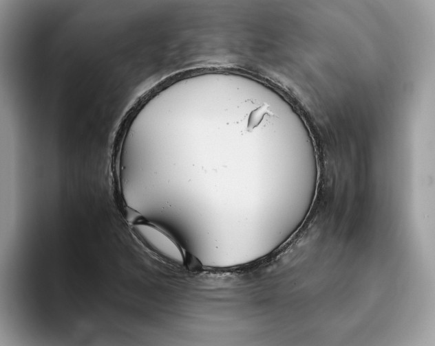 X0000093511168200711091716