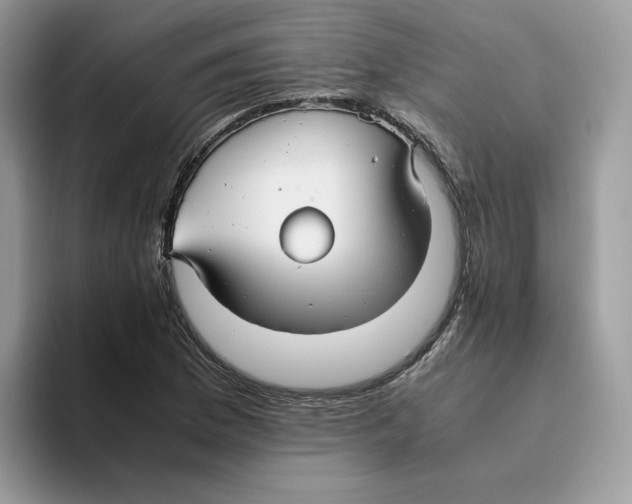 X0000093511169200711091716