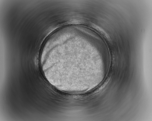 X0000093511170200711091716