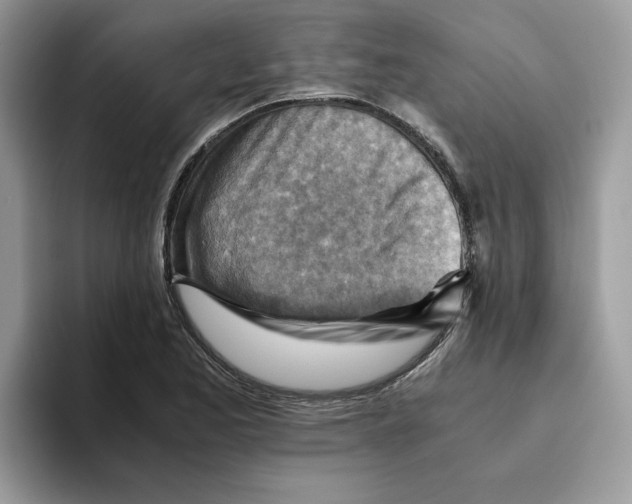 X0000093511173200711091716