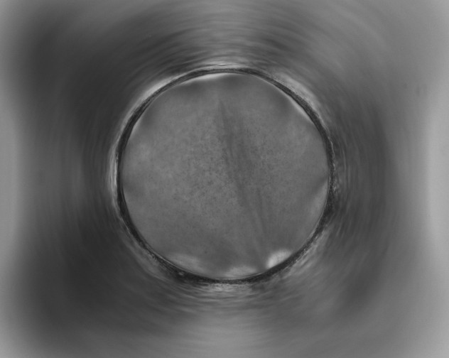 X0000093511179200711091715