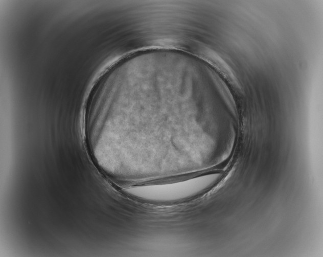 X0000093511180200711091715