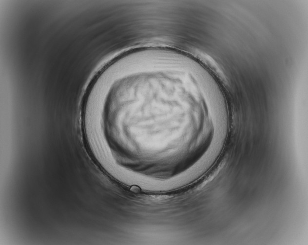 X0000093511184200711091715