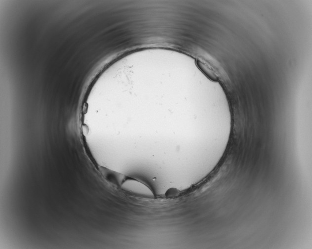 X0000093511188200711091715